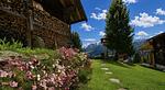Gartenblick - Gilferthütte | Tuxer Alpen | Tirol - Top-Hundeurlaub