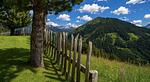 Gartenblick - Gilferthütte | Tuxer Alpen | Tirol - Top-Hundeurlaub