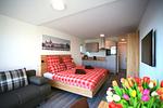 Wohnzimmer - Überlinger Seeapartment 1 - Top-Hundeurlaub