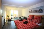 Wohnzimmer - Überlinger Seeapartment 1 - Top-Hundeurlaub