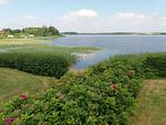 Gartenblick - Blick aufn See - Top-Hundeurlaub