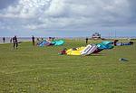 Strand - Clematis I - Top-Hundeurlaub