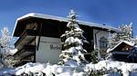 Untagged - Ferienhaus für 3 Personen (32 m²) - Top-Hundeurlaub