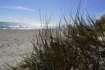 Strand - Ferienhaus 72 - Top-Hundeurlaub