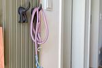Dekoratives Detail - Ferienwohnung Funk Unit Olpenitz - Top-Hundeurlaub