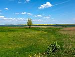 Landschaft - Haus Gustav - Top-Hundeurlaub
