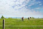 Landschaft - FeWo 04:  Balkon, Meerblick - Top-Hundeurlaub
