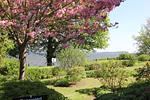 Landschaft - FeWo 15: Meerblick, Balkon - Top-Hundeurlaub