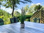 Terrasse mit Dekoratives Detail - Haus 37a - Top-Hundeurlaub