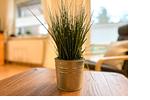 Dekoratives Detail - Haus 26b - Top-Hundeurlaub