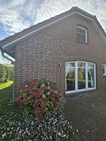 Hauptansicht - Krosse Krabbe - Top-Hundeurlaub
