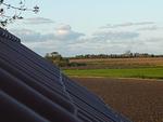 Gartenblick - Krosse Krabbe - Top-Hundeurlaub