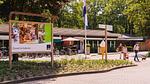 house - Bungalow für 2 Personen (50 m²) in Putten - Top-Hundeurlaub