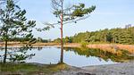house - Ferienhaus für 6 Personen (84 m²) in Rømø - Top-Hundeurlaub