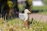 Dekoratives Detail - Ferienhaus  Medemsand 04 - Top-Hundeurlaub