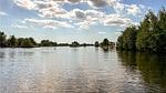 view-from-room - Ferienhaus für 4 Personen (33 m²) in Breukelen - Top-Hundeurlaub