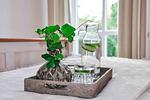 Dekoratives Detail - Ferienwohnung Poseidon Residenz Störtebecker - Top-Hundeurlaub