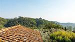 view-from-room - Ferienhaus für 8 Personen (120 m²) in Marliana - Top-Hundeurlaub