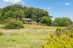 Haus am See - Top-Hundeurlaub