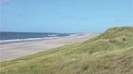 house - Ferienhaus für 10 Personen (120 m²) in Hvide Sande - Top-Hundeurlaub