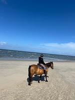 Neu: Ferienwohnung "Seestern" Wangerooge 2-4 Personen   - Top-Hundeurlaub