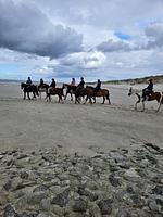 Neu: Ferienwohnung "Seestern" Wangerooge 2-4 Personen   - Top-Hundeurlaub