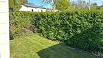 Garten [Sommer] - Ferienhaus für 5 Personen (30 m²) - Top-Hundeurlaub