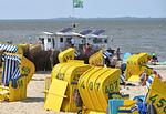 Strand - RD02 - Top-Hundeurlaub