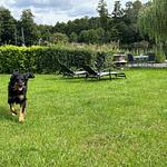 Schaalseeparadies - Top-Hundeurlaub