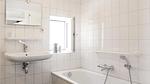 bathroom - Ferienhaus für 6 Personen (59 m²) in Ommen - Top-Hundeurlaub
