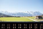 Harmonie - Top-Hundeurlaub