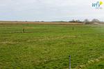 Landschaft - Ferienwohnung Glahr - Top-Hundeurlaub