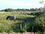 Landschaft - Ferienwohnung Glahr - Top-Hundeurlaub