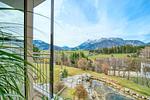 Landschaft - Birnhorn Vista Villa - Top-Hundeurlaub
