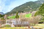 Landschaft - Birnhorn Vista Villa - Top-Hundeurlaub