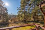 Landschaft - Waldblick - Top-Hundeurlaub