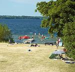 Strand - Brise 5 am Wittensee – ebenerdige Ferienwohnung mit Terrasse & Spielscheune - Top-Hundeurlaub