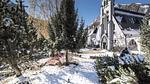 Ferienwohnung für 5 Personen (30 m²) in Saint-Lary - Top-Hundeurlaub