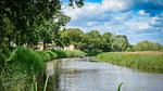 AreaSummer1KM - Ferienhaus für 5 Personen - Top-Hundeurlaub