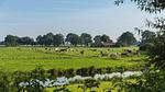 AreaSummer5KM - Ferienhaus für 5 Personen - Top-Hundeurlaub