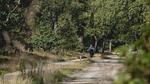 AreaSummer5KM - Ferienhaus für 5 Personen - Top-Hundeurlaub