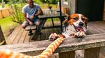 Untagged - Ferienhaus für 6 Personen (80 m²) - Top-Hundeurlaub