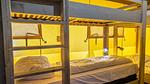 Untagged - Ferienhaus für 6 Personen (55 m²) - Top-Hundeurlaub