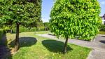 house - Ferienhaus für 4 Personen (90 m²) - Top-Hundeurlaub