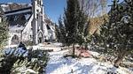 AreaWinter1KM - Ferienwohnung für 5 Personen (27 m²) in Saint-Lary - Top-Hundeurlaub