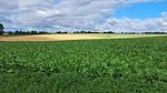 AreaSummer20KM - Ferienhaus für 18 Personen (404 m²) in Schimmert - Top-Hundeurlaub