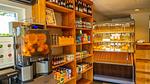 ParkFacilities - Ferienhaus für 5 Personen (50 m²) in Otterlo - Top-Hundeurlaub
