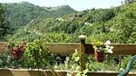 Untagged - Ferienwohnung für 3 Personen (45 m²) in Pont de Montvert - Sud Mont Lozère - Top-Hundeurlaub