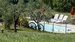 Pool - Ferienhaus für 4 Personen (35 m²) - Top-Hundeurlaub
