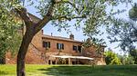 Outdoor - Ferienhaus für 5 Personen (55 m²) - Top-Hundeurlaub